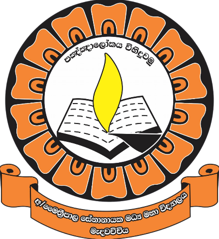 MSNS Logo